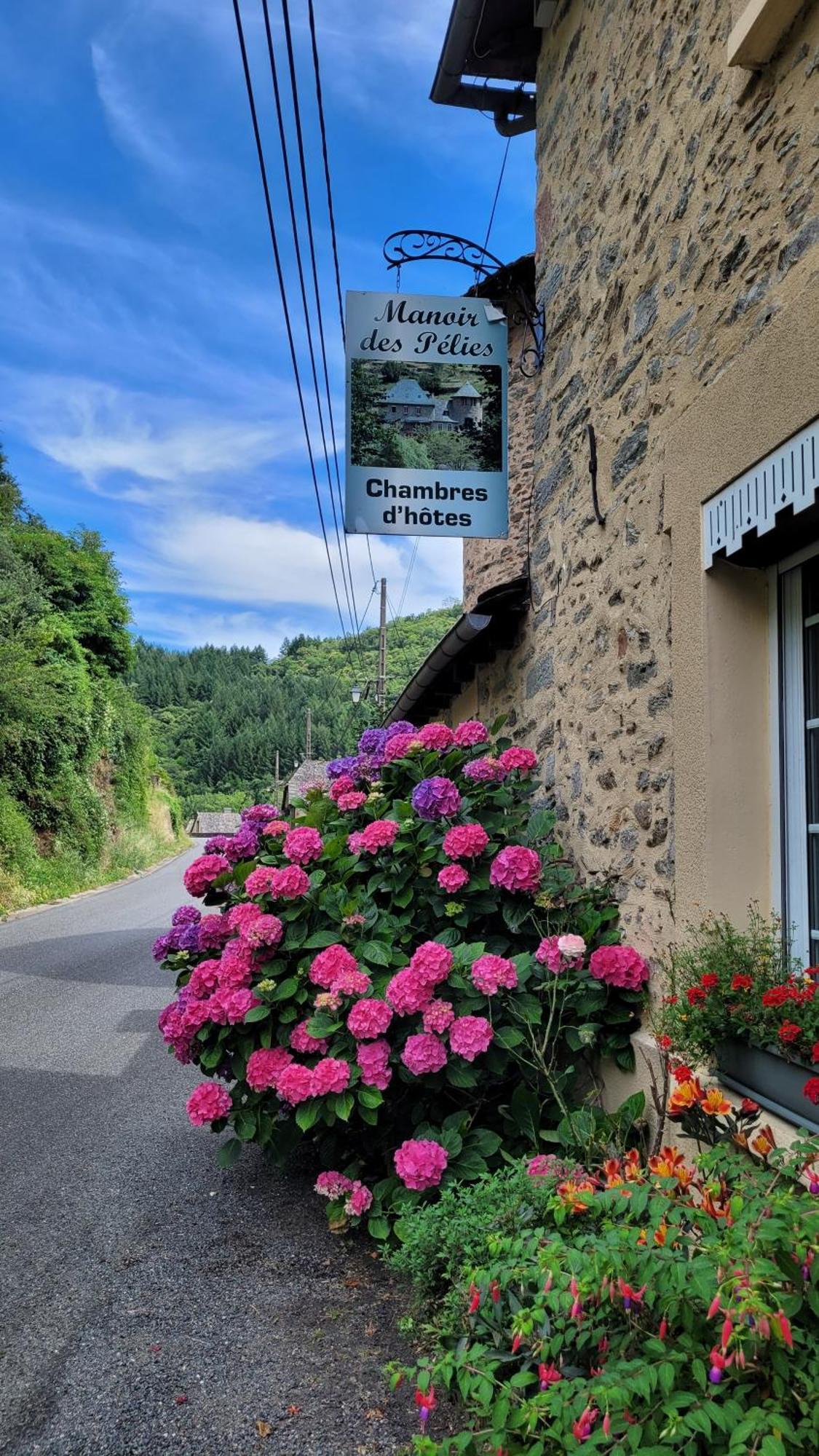 Manoir Des Pelies Spa Conques Exterior photo